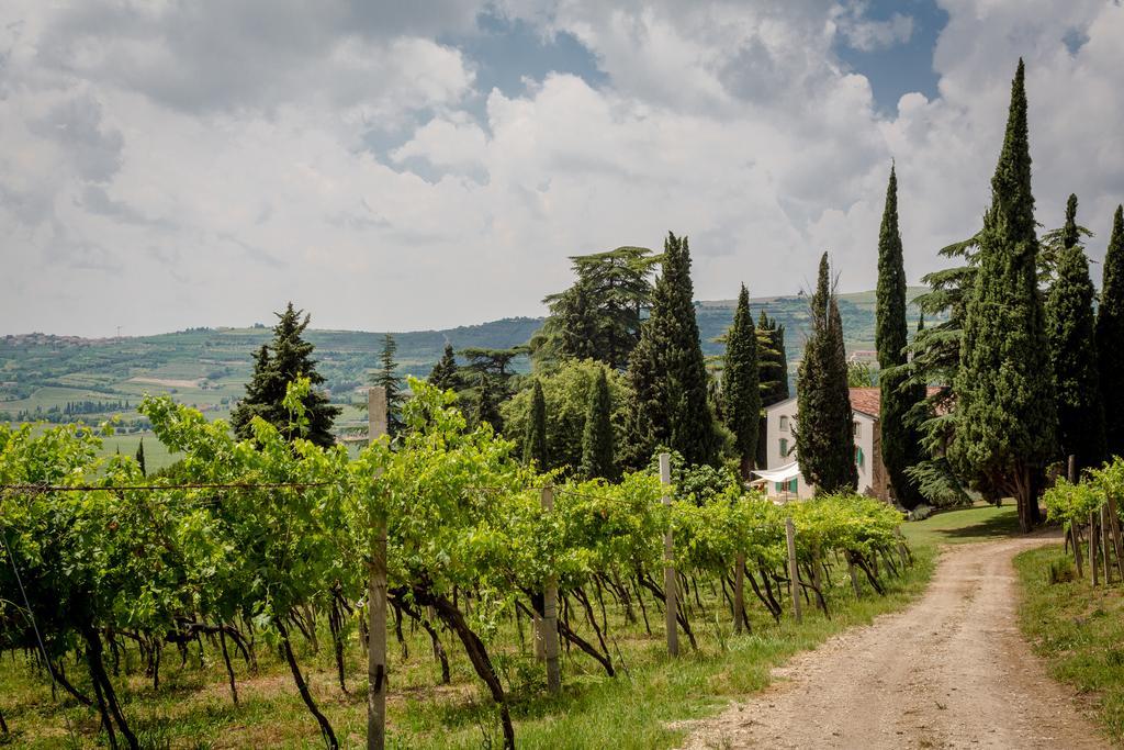 Massimago Wine Relais Villa Mezzane di Sotto Ngoại thất bức ảnh