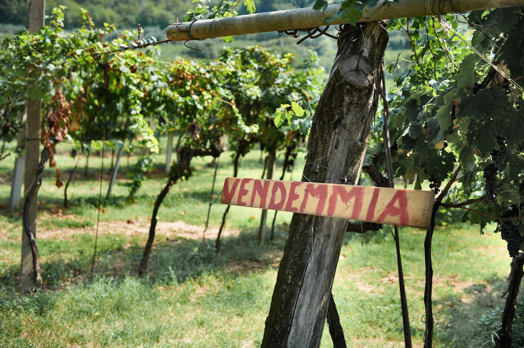 Massimago Wine Relais Villa Mezzane di Sotto Ngoại thất bức ảnh