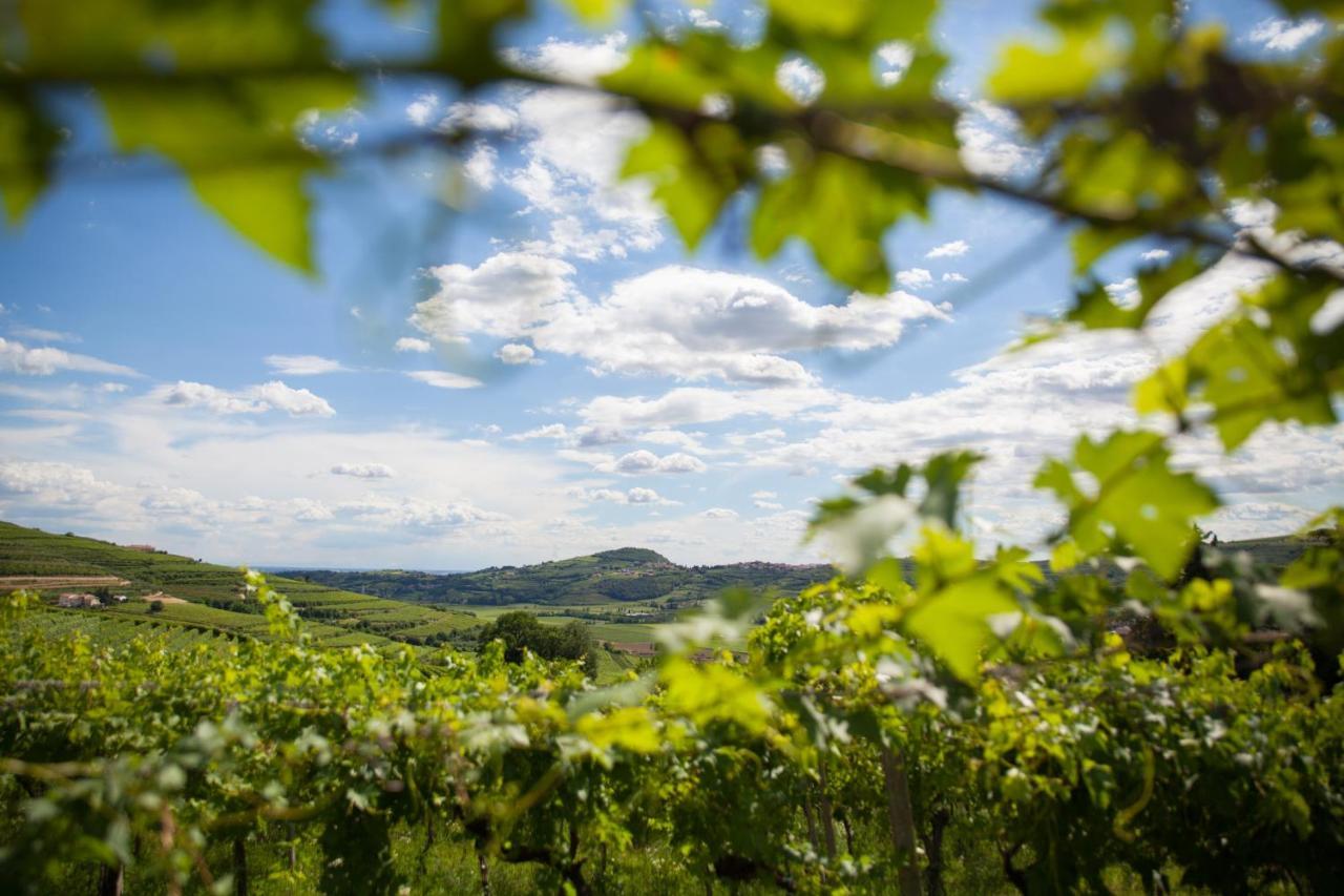 Massimago Wine Relais Villa Mezzane di Sotto Ngoại thất bức ảnh